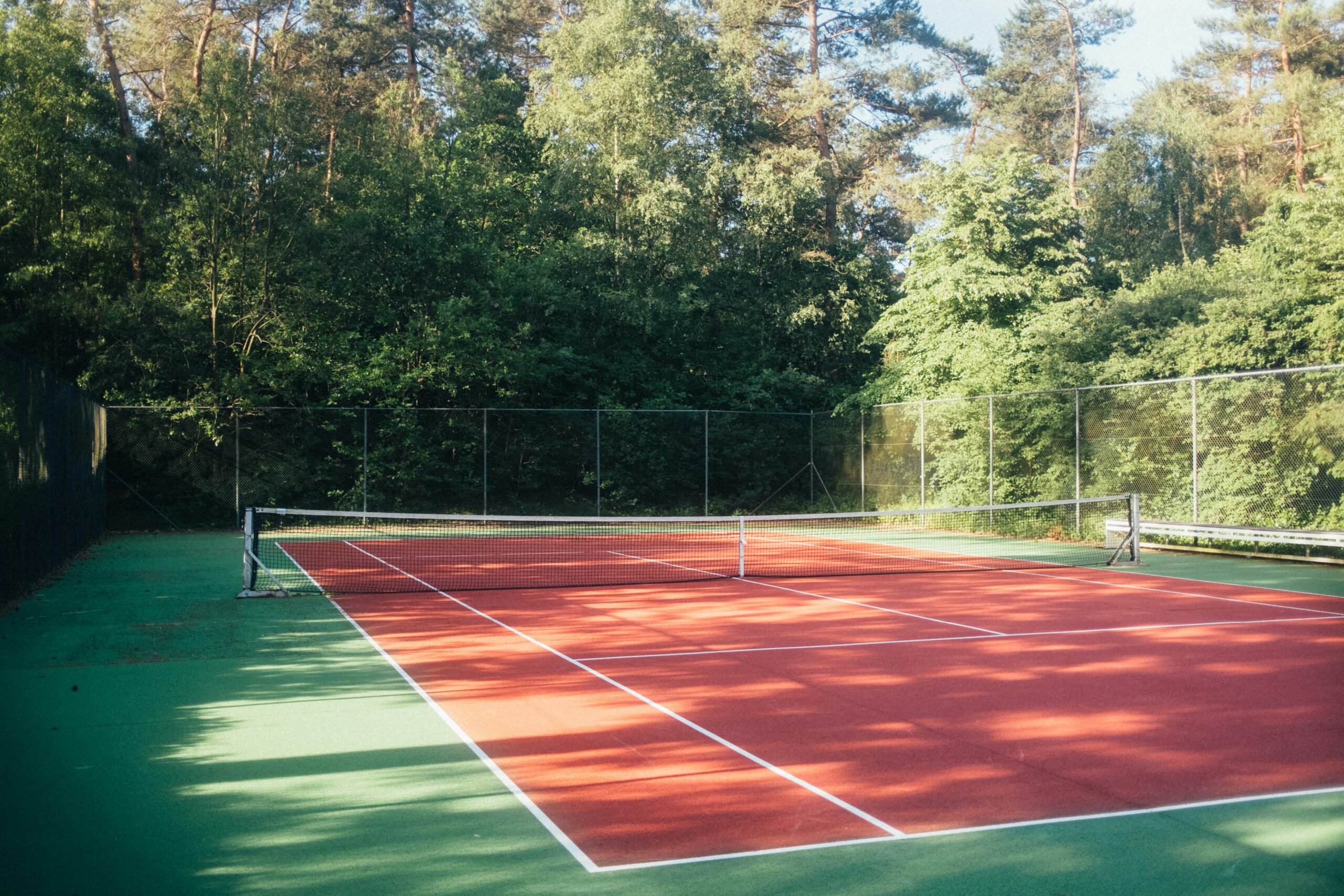 The Rise of Women’s Professional Sports