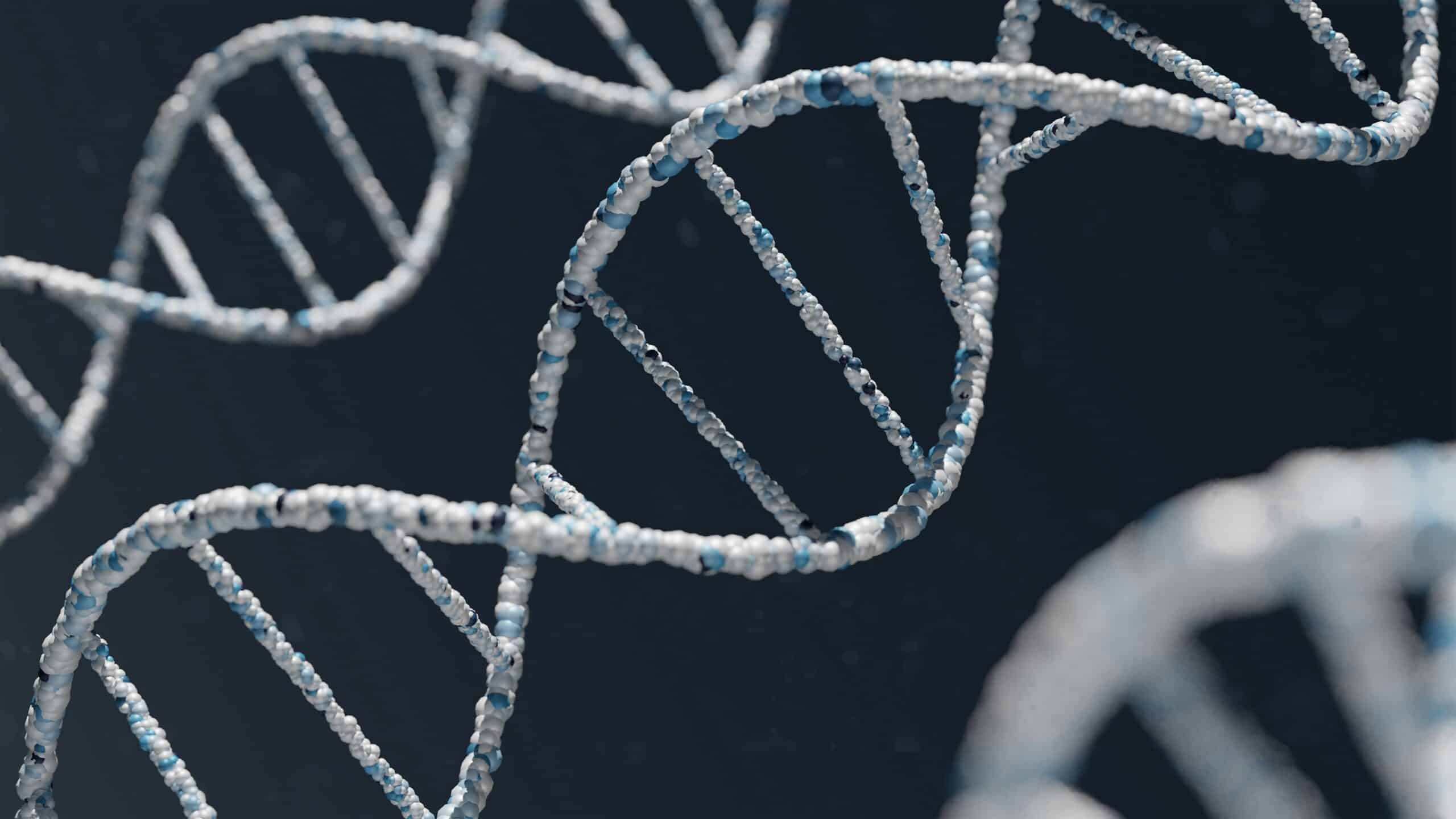 The Discovery of DNA’s Structure and the People Behind It