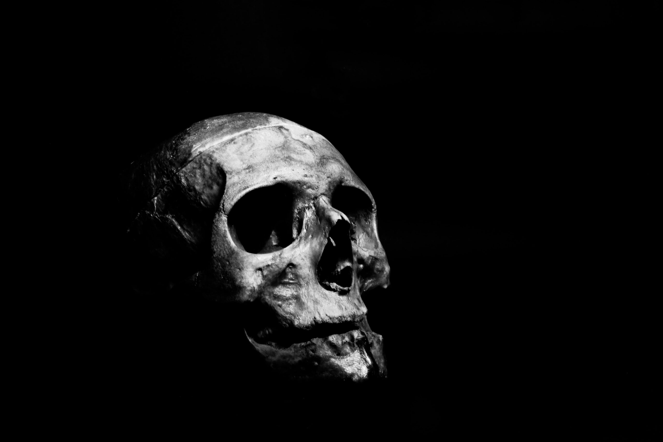 The Black Death: Plague, Medieval Europe, and a World Transformed