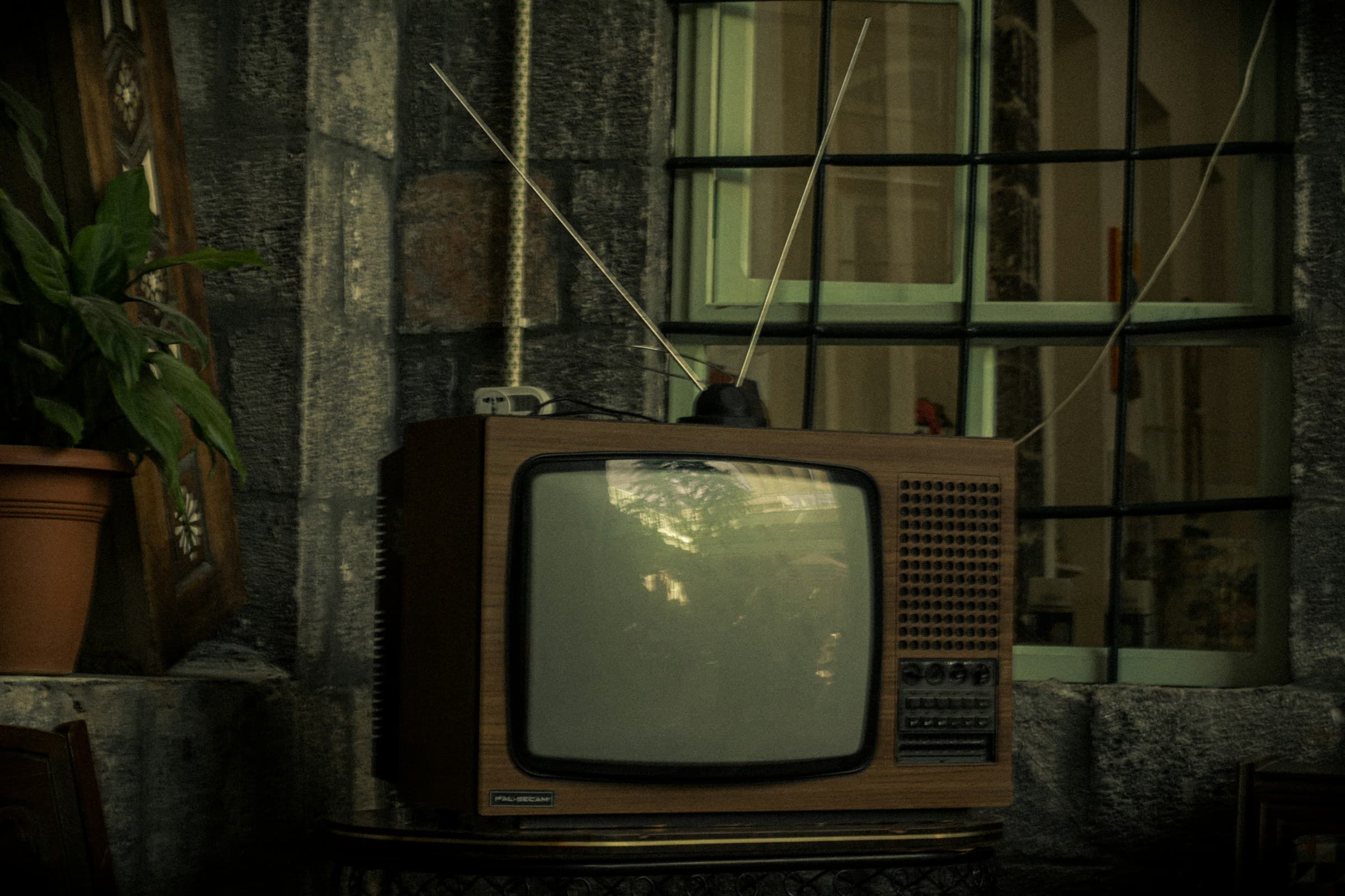 1950s Pop Culture: TV, Movies, Fads, and Everyday Life