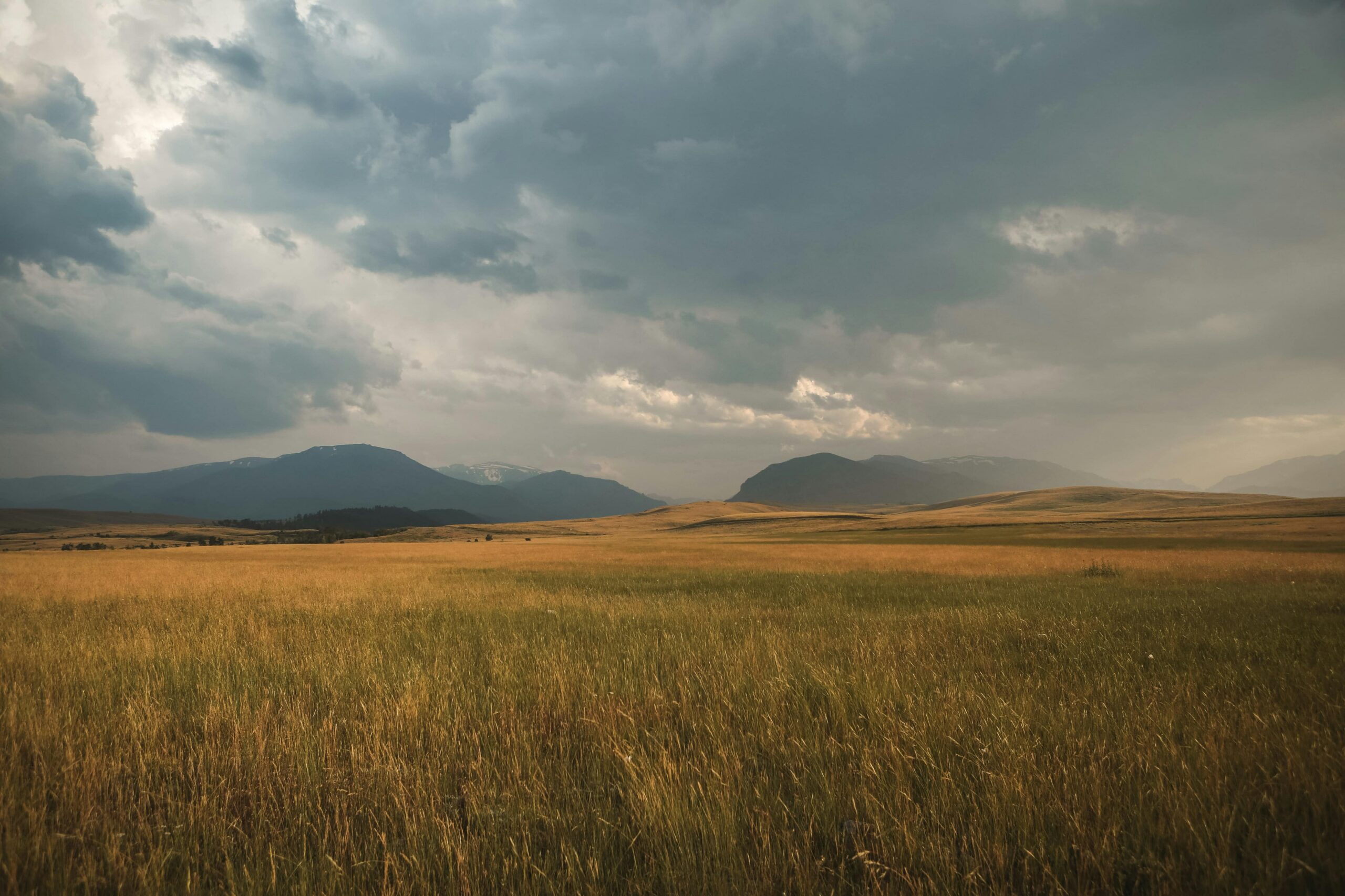 The Dust Bowl: Drought, Dust Storms, and the Great Plains